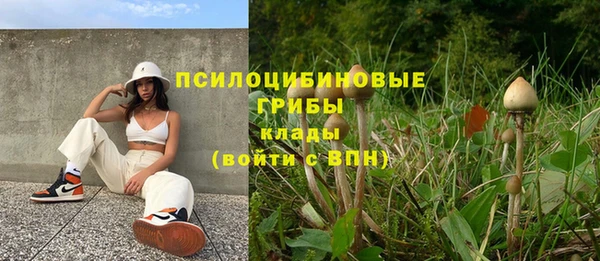 Альфа ПВП Абаза