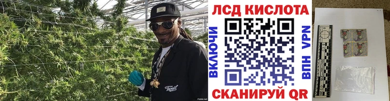 хочу   Тольятти  дарк нет наркотические препараты  Марки NBOMe 1,8мг 