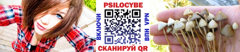 маркетплейс телеграм  купить закладку  Тольятти  Псилоцибиновые грибы Psilocybine cubensis 